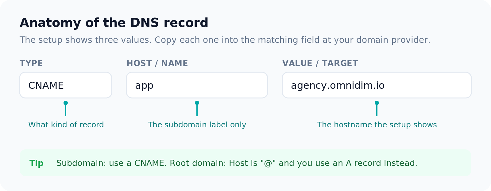 Anatomy of the DNS record: type, host, and value